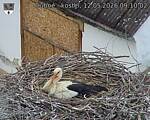 Capi_Dubne_20260512_091002.jpg