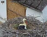 Capi_Dubne_20260512_092503.jpg