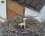 Capi_Dubne_20260512_093002.jpg