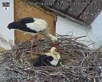 Capi_Dubne_20260512_095003.jpg