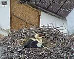 Capi_Dubne_20260512_101003.jpg