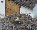 Capi_Dubne_20260512_102502.jpg
