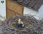 Capi_Dubne_20260512_104003.jpg
