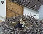 Capi_Dubne_20260512_105502.jpg