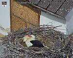 Capi_Dubne_20260512_111503.jpg