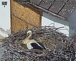 Capi_Dubne_20260512_114503.jpg