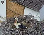 Capi_Dubne_20260512_115503.jpg