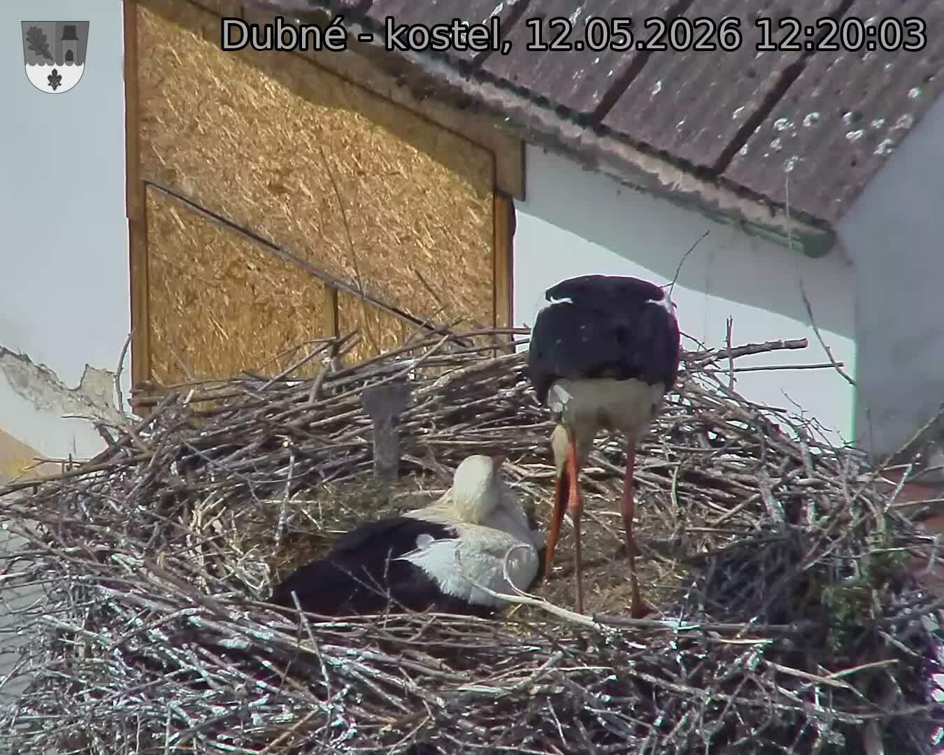 Capi_Dubne_20260512_122003.jpg (1350&nbsp;x&nbsp;1080)