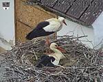 Capi_Dubne_20260512_131003.jpg