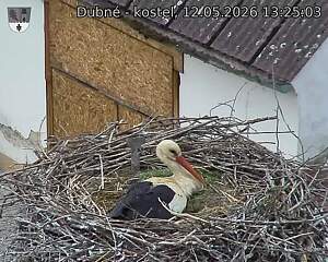 preload