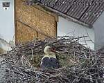 Capi_Dubne_20260512_140502.jpg