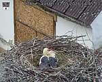 Capi_Dubne_20260512_144503.jpg