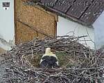 Capi_Dubne_20260512_145503.jpg