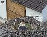 Capi_Dubne_20260512_150003.jpg