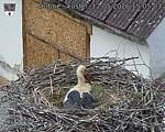 Capi_Dubne_20260512_150503.jpg