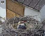 Capi_Dubne_20260512_151004.jpg