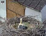 Capi_Dubne_20260512_151502.jpg