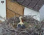 Capi_Dubne_20260512_153002.jpg