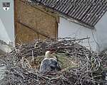 Capi_Dubne_20260512_154003.jpg