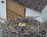 Capi_Dubne_20260512_155502.jpg