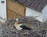 Capi_Dubne_20260512_160504.jpg