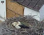 Capi_Dubne_20260512_162502.jpg