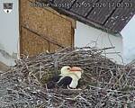 Capi_Dubne_20260512_170003.jpg