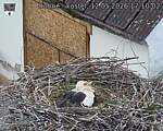 Capi_Dubne_20260512_171003.jpg