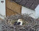 Capi_Dubne_20260512_172003.jpg