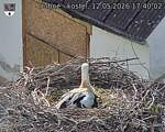 Capi_Dubne_20260512_174002.jpg