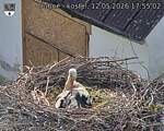 Capi_Dubne_20260512_175502.jpg