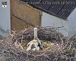 Capi_Dubne_20260512_180003.jpg