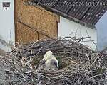 Capi_Dubne_20260512_181004.jpg