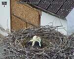 Capi_Dubne_20260512_182502.jpg