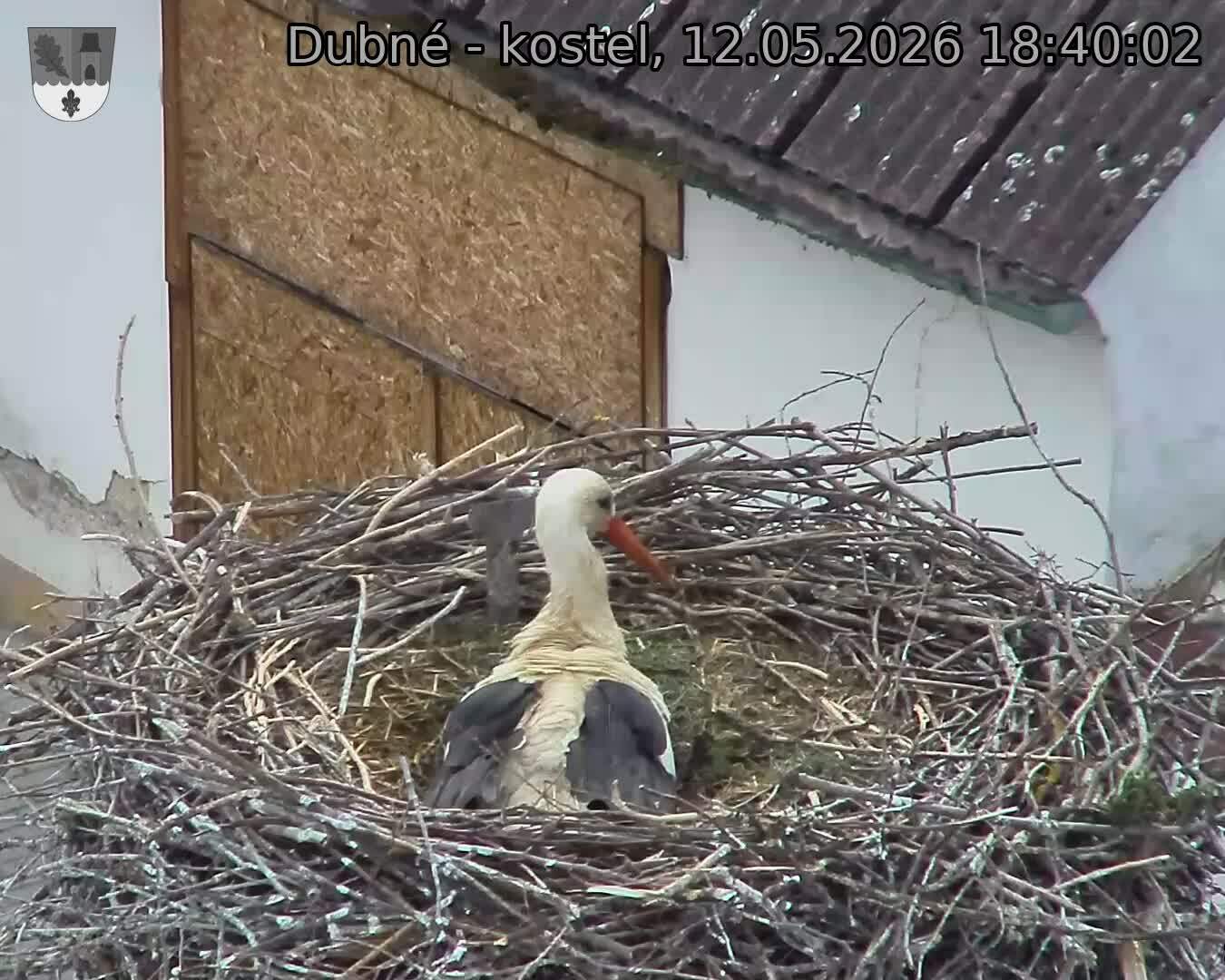 Capi_Dubne_20260512_184002.jpg (1350&nbsp;x&nbsp;1080)