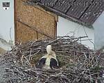 Capi_Dubne_20260512_185503.jpg