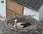 Capi_Dubne_20260512_190502.jpg