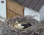 Capi_Dubne_20260512_191503.jpg