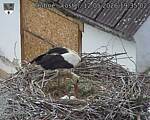 Capi_Dubne_20260512_193502.jpg