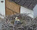 Capi_Dubne_20260512_194002.jpg