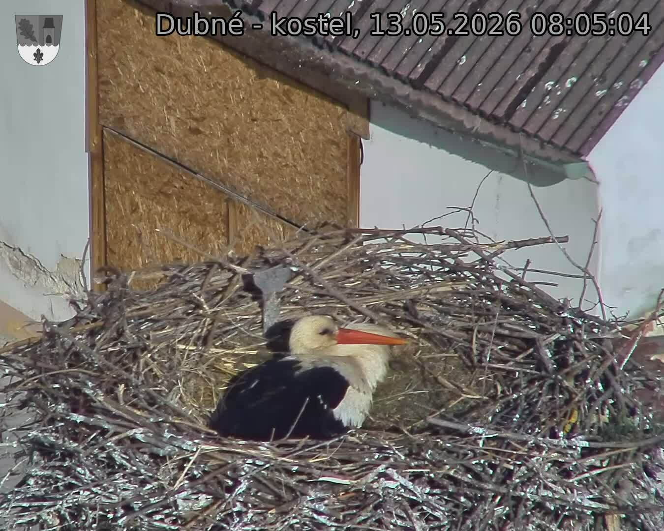 Capi_Dubne_20260513_080504.jpg (1350&nbsp;x&nbsp;1080)