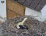 Capi_Dubne_20260513_091502.jpg