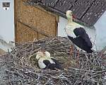 Capi_Dubne_20260513_092503.jpg