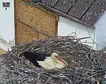Capi_Dubne_20260513_102003.jpg