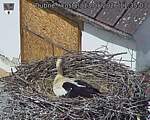 Capi_Dubne_20260513_113503.jpg