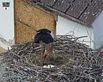 Capi_Dubne_20260513_114503.jpg