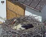 Capi_Dubne_20260513_123505.jpg