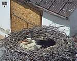 Capi_Dubne_20260513_124002.jpg