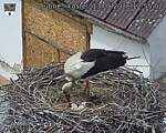 Capi_Dubne_20260513_125503.jpg