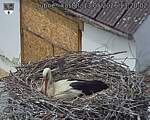 Capi_Dubne_20260513_132002.jpg